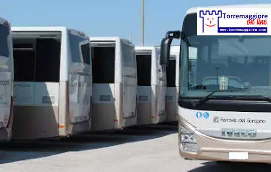 Torremaggiore: variazioni di percorso degli autobus dal 14 al 17 giugno 2024 a Torremaggiore